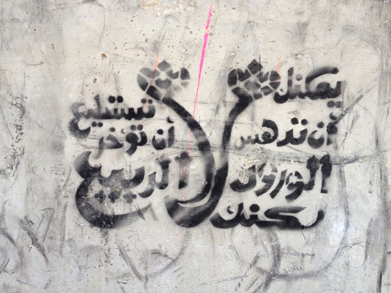 ملف:يمكنك أن تدهس الورد لكنك لا تستطيع أن تؤخر الربيع.jpg