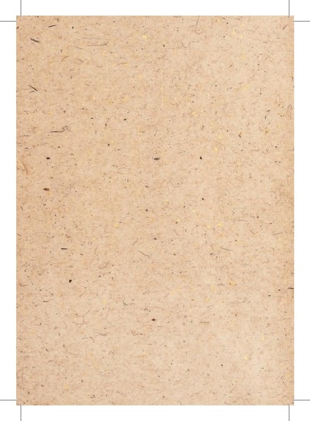 ملف:وثيقة عمل حول التغطية الإعلامية لقضايا العنف القائم على النوع الإجتماعي.pdf