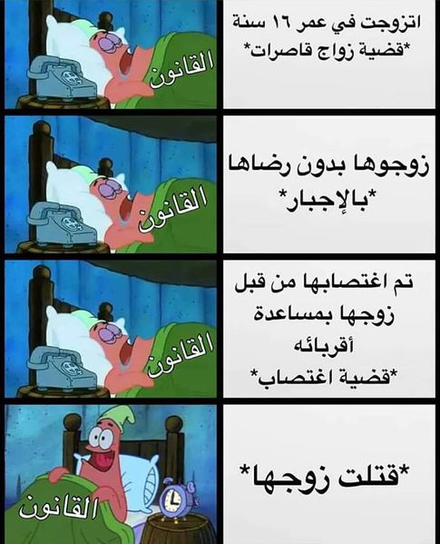 ملف:ميم عن التمييز الجنسي في القانون.jpg