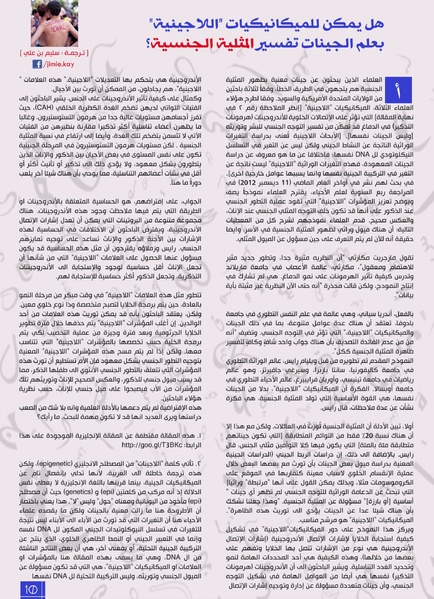 ملف:مجلة أصوات - العدد 18.pdf