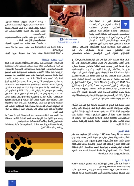 ملف:مجلة أصوات - العدد 18.pdf