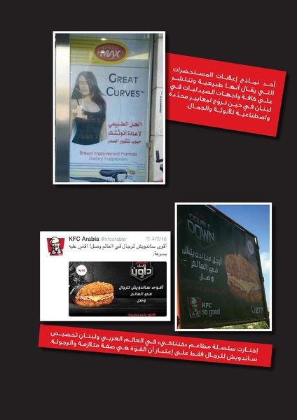 ملف:تقرير رصد صورة النساء في الإعلام والإعلان في لبنان.pdf