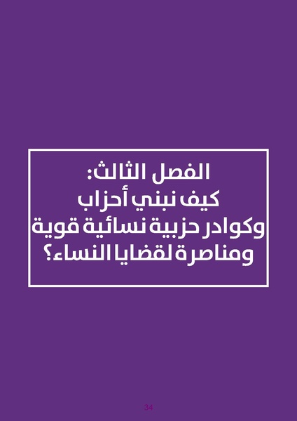 ملف:دليل للكوادر النسائية في الأحزاب الديمقراطية.pdf