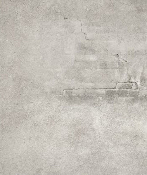 ملف:بناء ونضال – من أرشيف الحركة النسوية.pdf