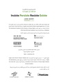 الاستراتيجيات الأمنية للمدافعات عن حقوق الإنسان.pdf