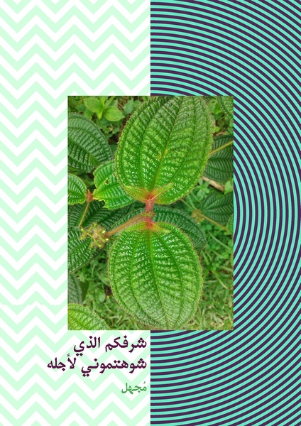 ملف:إصدارة كاتبات الخزانة.pdf