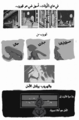 الأمل كأداة نسوية 2- إسلام الخطيب.png