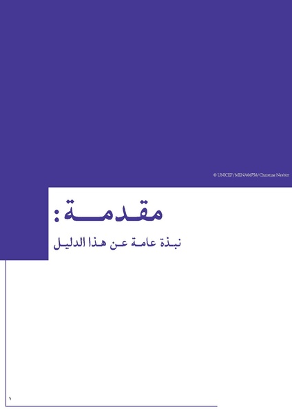 ملف:تنسيق تداخلات العنف القائم على النوع الاجتماعي في الأوضاع الإنسانية.pdf
