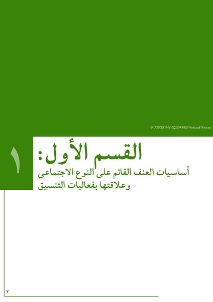 ملف:تنسيق تداخلات العنف القائم على النوع الاجتماعي في الأوضاع الإنسانية.pdf