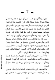 الصفحة اللاحقة ←