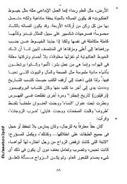 الصفحة اللاحقة ←