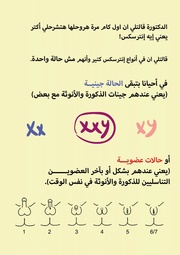 الصفحة اللاحقة ←