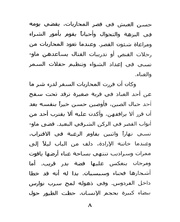 الصفحة اللاحقة ←