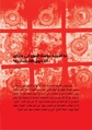 ما أهمية دراسة النوع في سياق الحقوق الاقتصادية؟.pdf